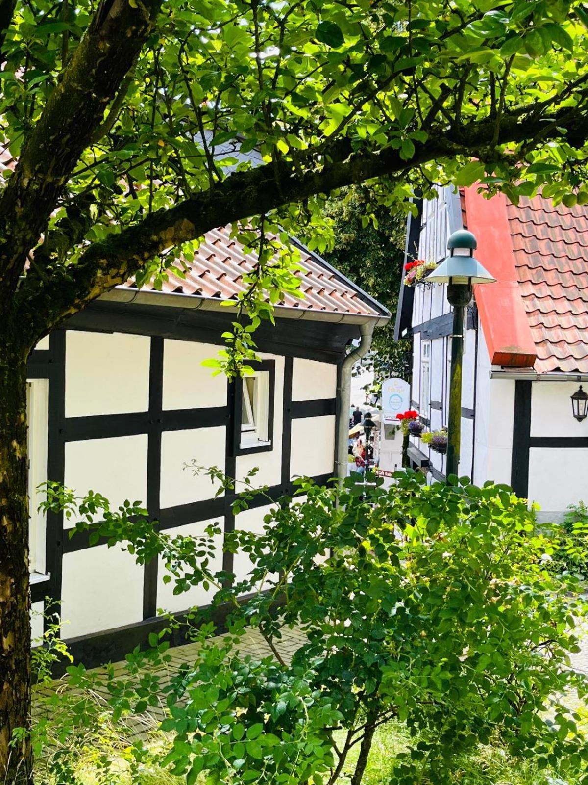Lateinschule Apartman Tecklenburg Kültér fotó