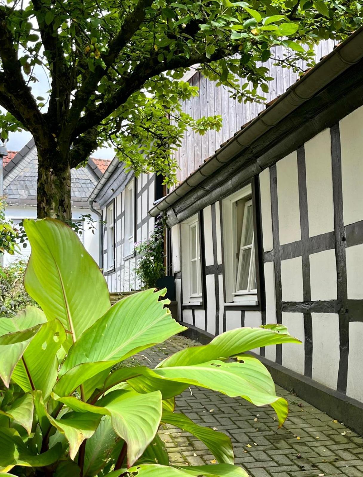 Lateinschule Apartman Tecklenburg Kültér fotó