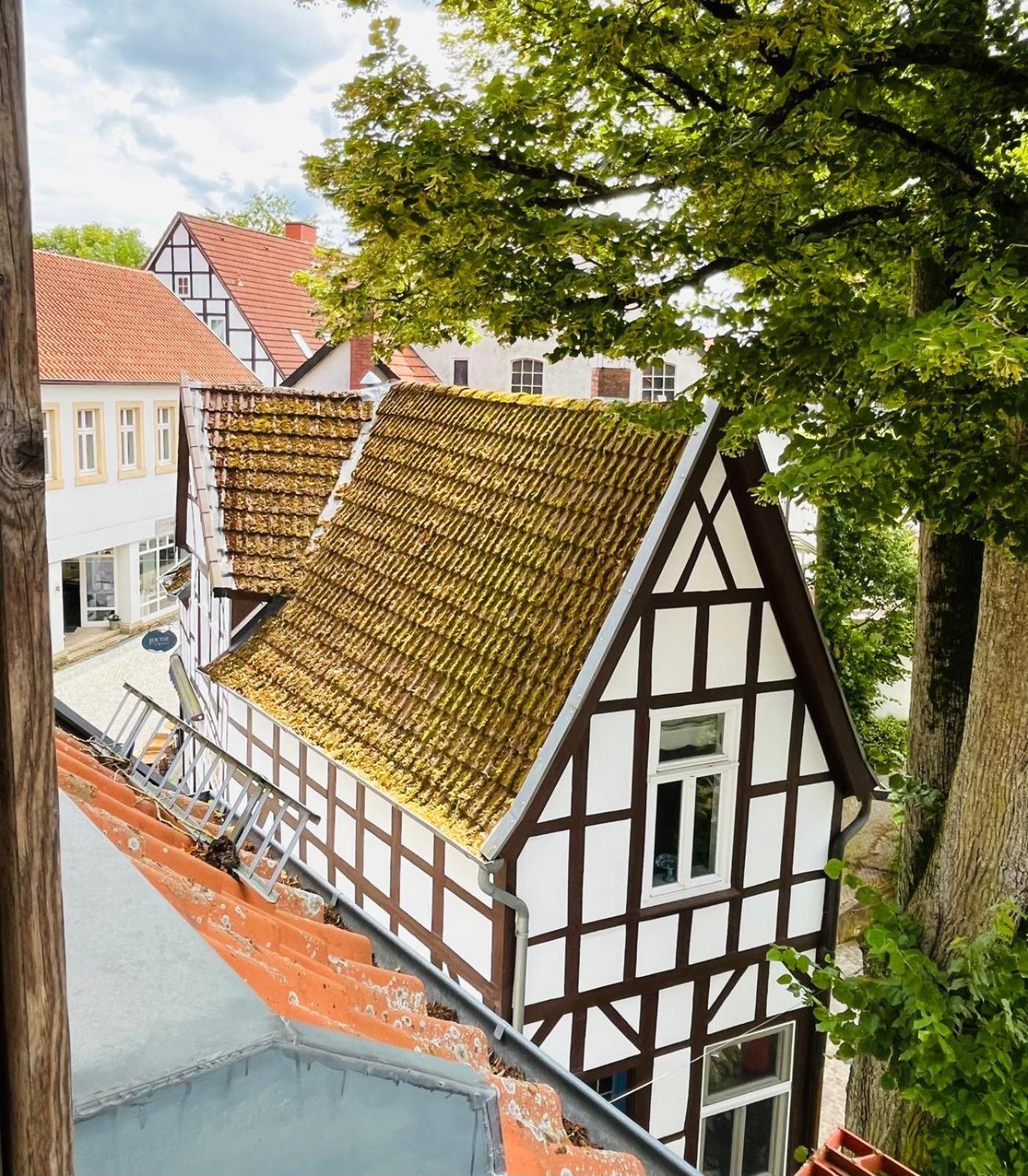 Lateinschule Apartman Tecklenburg Kültér fotó